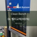지이라인주