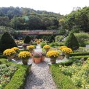 신구대 식물원 꽃무릇 이미지