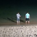 천학정 민박 이미지