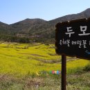 하도문쌈채마을 이미지