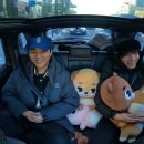 24클콘 엠디 데이식스 인형 자이언트 데니멀즈 실물 후기