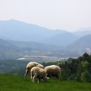 고향목장 이미지