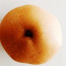 은빛축산 | 절임배추20kg김장김치 양념 비율(전라도식) + 감칠맛 육수 비법