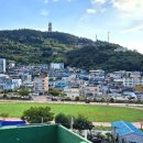 완도초등학교 앞 이미지