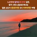 Re: [최종 공지] 2026년4월1일~5일. 잔잔하고 여운있는 뭔가 뿌듯한 일본 소도시 여행 [돗토리현, 시마네현] 답사 여행 이미지