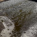 채수면 농장 이미지