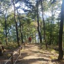 유정당구장 | (전남 장성호)2017 팀 워킹 토너먼트 몬스터프로젝트 컵 5전 후기