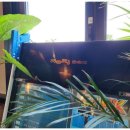 키즈풀숲 이미지