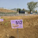 아양농장 이미지