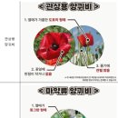 제주시보건소 이미지