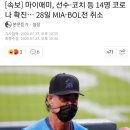 MLB 마이애미 말린스 선수 코치 포함 14명 코로나 확진 이미지