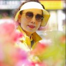 아멜리아 이미지