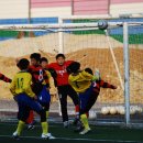 합성초등학교 이미지