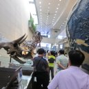 전자통신연구원 이미지