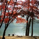 황*동