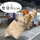 미친마라탕 - 부천시 원미구 중동로254번길 87 | 미친마라탕