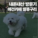 별똥구리 | [수지/별똥구리] 견주면 아묻따ㄱㄱ! 수지 최고의 애견카페 ‘별똥구리’ 내돈내산 후기