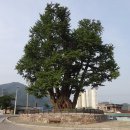 영월-27