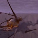 거북이여인숙 이미지