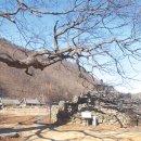 석탑사 - 안동시 북후면 | 석탑사