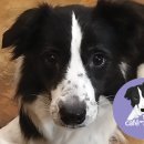 카페몽몽 이미지