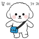 멍냥멍냥 미용실 이미지