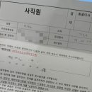 비비드순