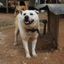 창용농장 이미지