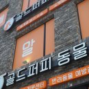 골드퍼피 이미지