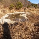 장동목장 이미지
