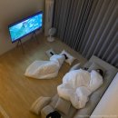 햇살 스테이 | [ 춘천 펜션 ] 숨은 힐링스팟 &#39;아침햇살스테이&#39; 바베큐&amp;불멍 가능한 독채펜션 후기(최대 6인가능)