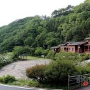 민주지산자연휴양림 이미지