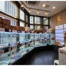 도그트랜드 이미지