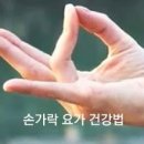 건강요가 Daum카페