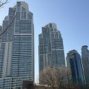 강남-244 이미지