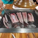 풍천장어 이미지