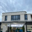 하영횟집 | 제주도 서귀포시 내돈내산 신선한 횟집 모듬회 하영횟집 추천