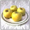 이미자농장 | 시나노골드 마켓림 이미자사과 진짜 맛있는 황금사과 후기