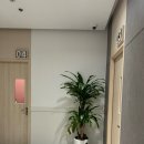 오잘공스크린골프존 이미지