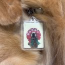 댕댕바게트 | [부산/동래] 소중한 나의 반려견 생일 케이크를 만들어주는 반려견 케이크 전문점 “댕댕바게트”