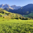 공룡의숨결 이미지