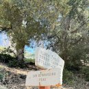 10-10-2026 Momyer Creek Trail to Alger Creek Camp 이미지