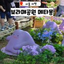 공원가든 | 보라매공원 메타몽 가든 위치 굿즈 가격 주말 방문후기