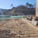 경북 안동 주택과 토지 매매(364평/1억6천) 이미지