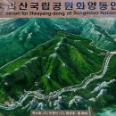 다사랑 이미지