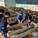 연곡초등학교 이미지