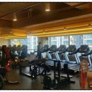 팀 터틀랫 해운대장산 이미지