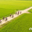 소라면 가사리 이미지