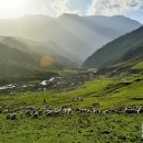 선미목장 이미지