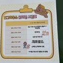 도그하우스 애견미용실 | 대전 중구 애견미용 애견유치원 도그하우스 200% 반한 이유